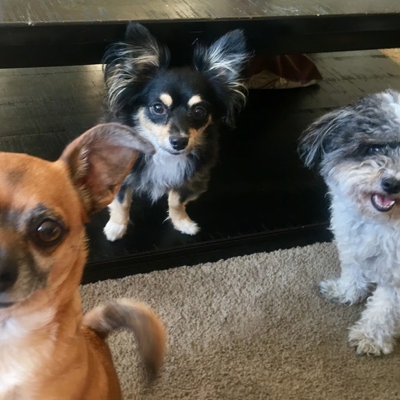 Meet your Posher, Eric - Picture 1 of 1